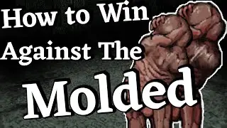 How to win against The Molded in Fear and Hunger