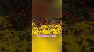 How to drawing butterfly🌺🌷🌻🌹#youtubevideo#wholeworld#howto #everythingworld @StrayKids@kikakimm