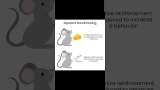 operant conditionig theory #skinner #education