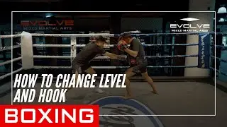 Boxing | How To Change Level And Hook