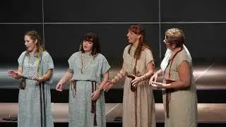 UGUNS VĀRDI, Andris Dzenītis - ANIMA SOLLA