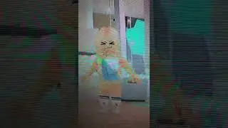 Mom's In Parrelell universe Be Like...
