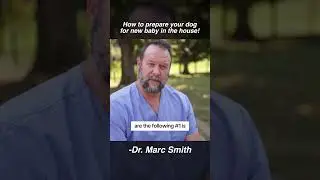 How to Prepare Your Dog for a New Baby by Marc Smith, DVM, MS