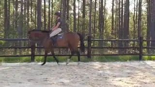 For Sale: Indy