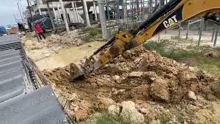 Cat 303
