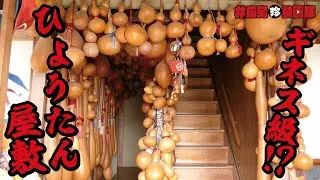 ギネス級!?ひょうたんに憑りつかれた男／#広島珍動画隊 FILE:11