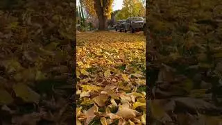 Edmonton in autumn #edmonton #canada #travel #autumn