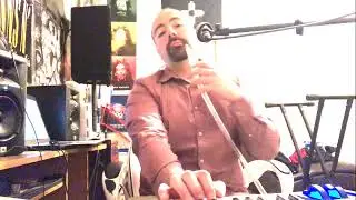 TELL IT LIKE IT IS - TALKBOX COVER BY STEVEN ROWIN