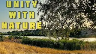 RELAX MUSIC | SOUNDS OF NATURE | POND | BIRDS SOUNDS #relaxing#relaxingmusic#relaxingvideo#mood