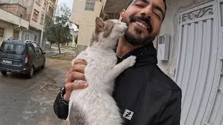 The friendly cat will give us lots of kisses when she sees us.