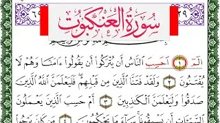 سورة العنكبوت مكتوبة محمد عبد الكريم Surah Al Ankabot  برواية ورش عن نافع من طريق الاصبهاني