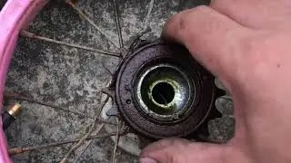 How to remove replace freewheel Sprocket In BIKE BMX or Small bike