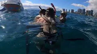 Snorkeling with family living ocean tour Honolulu Hawaii 