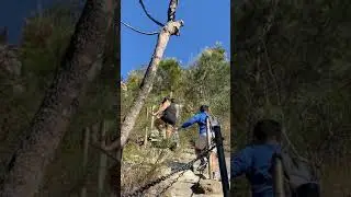 Climbing Mt Cooroora - from Base to Top