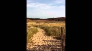 Debbie Phillips Shares the Secret of Lucy Vincent Beach