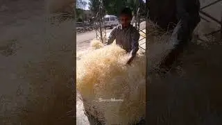 Making High-Quality Wood Wool for Air Cooler