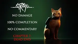 Stray | NO DAMAGE/100% COMPLETION - Chapter 7: Dead End