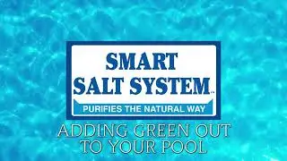 How to add Green Out shock into your pool