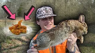 I Went RABBIT HUNTING With DOGS (CATCH and COOK)