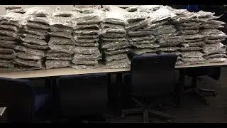 Chicago crime overnight report: Marijuana drug bust