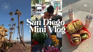 De Tijuana a Estados Unidos caminando... Mini San Diego Vlog