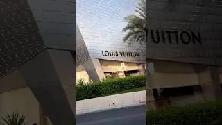 Las Vegas City Tour #louisvuitton #uber #lasvegas #swissachayan #switzerlandmalayalamvlog #steak