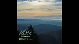 Spooky Season Special: Appalachian Animal Mythbusters