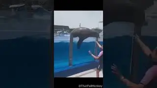 Epic fails! 🤣 #fails #fail #funny #hilariousfail #lol