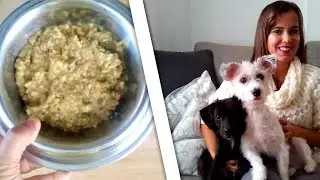COMIDA CASEIRA VEGANA PARA C&Atilde;ES