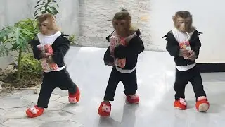 Wow Really Cute! Donal Like A B0ss Walkinq Wear Red Shoes To Drink Milk