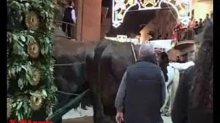Il Ceto dei Massari - Festa del patrono SS. Crocifisso di Calatafimi Segesta