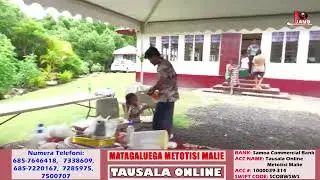 TAUSALA ONLINE MATAGALUEGA METOTISI MALIE   31.01.2026