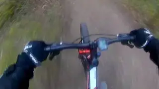 Rubbee  e-bike Forest Ride