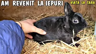 Viața la țară - M-am reapucat  de iepurași  ❤ ce am adus?