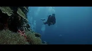 Featuring Superior Pool Room & Great Diving