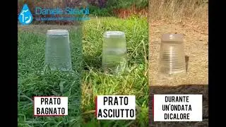 I terreni aridi nell'immediato assorbono meno pioggia dei terreni umidi
