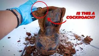 DIRTY Black Boots Covered in Cockroaches! Extreme ASMR Shoe Cleaning