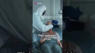 Bio-Warfare & Corona: A Microscopic Battle