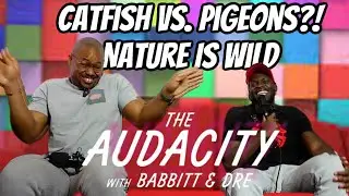 Catfish vs. Pigeons?! Nature Is Wild &ndash; Full Reaction!