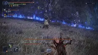 ELDEN RING NIGHTREIGN Bête de L'Equilibre [Deep of Night Level 4] [Faux du Halo]