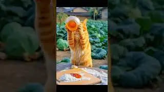 gingercat daily life (part2 ) #shortvideos #shortvideos  #aicats #catstory