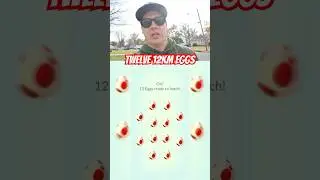 Hatching Twelve 12km Eggs! #pokemongo #viral