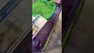 Getting a new hamster!! #hamster #snail #pets #pet #petsmart #shorts