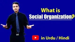 What is Social Organization? Urdu / Hindi