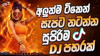 2026 New Sinhala Songs Dj Nonstop | Sinhala Party Remix 2026 | Bass - Boosted | Trending Remix