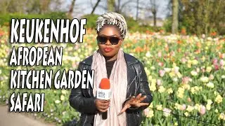 Keukenhof, The Amazing Dutch Tulip Garden | The African Travel Adventure