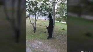 Blue Heron Resort, Ontario, August 2016