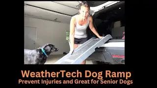 Weathertech Dog Ramp Prevents Injuries and Senior Dog Approved!