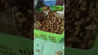 Groundnuts for sale😋😋😋#groundnut #vendor #selling