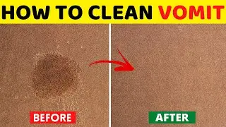 How to Clean Vomit from Carpet with Vinegar & Baking soda | House Keeper